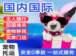 左旗巴彦浩特航空物流国际宠物托运 【国